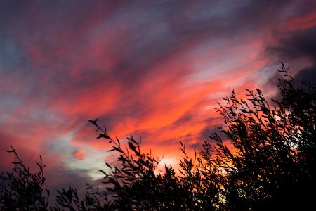 Brown Clouds during Sunset