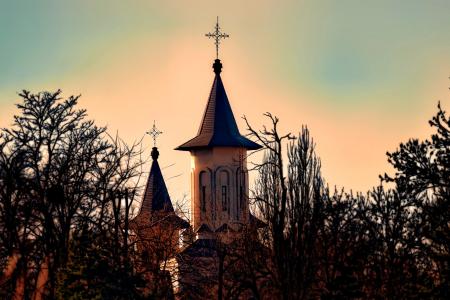 Brown Concrete Church Surrounded by Green Leaf Trees