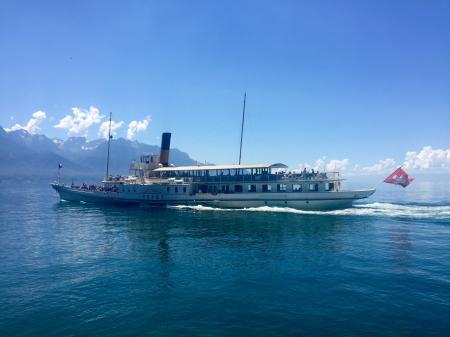 Brown Cruise Ship on Body of Water