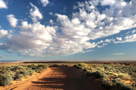 Brown Desert Road Between Green Leafed Plants Under Gray Cloudy Sky during Daytime
