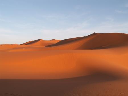 Brown Desert