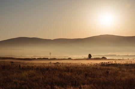 Brown Field during Sunset