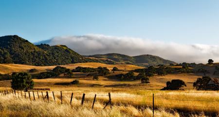 Brown Field With Trees over Mountain
