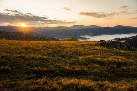 Brown Grass Field during Golden Hour