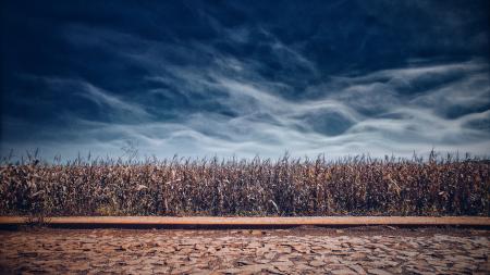 Brown Grass Field during Night Time