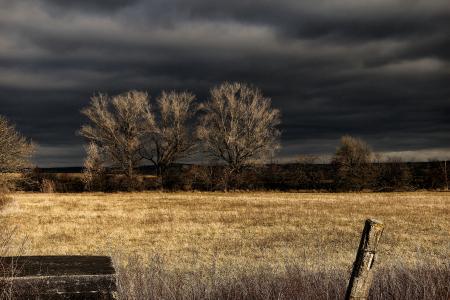 Brown Grass Field Under Black Sky during Nighttime