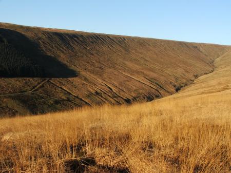 Brown Grassland Landscape