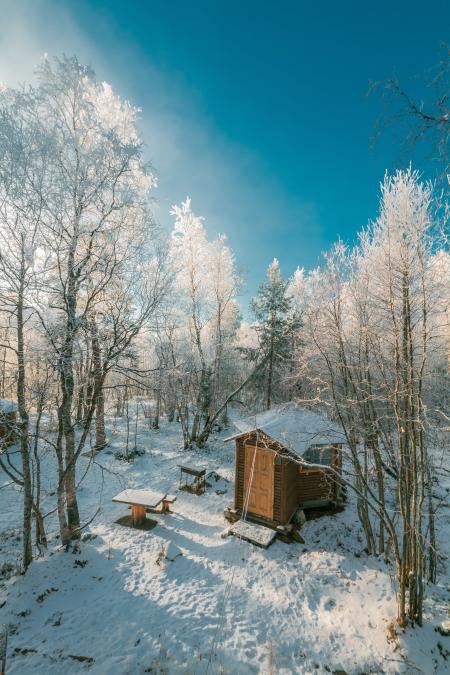 Brown House Near Snow Covered Tree