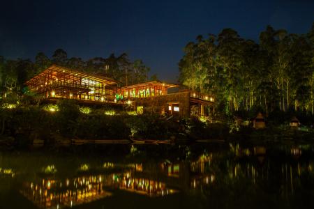 Brown House With Yellow and Red Light Near Green Tree and Body of Water during Nighttime