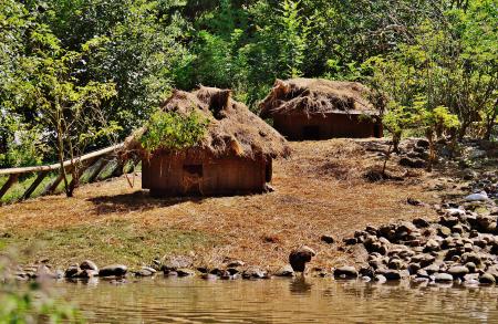 Brown Huts Beside Green Trees during Daytime