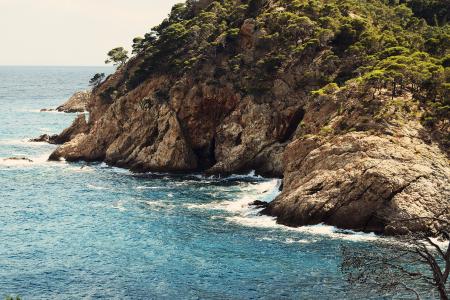 Brown Islet Rock