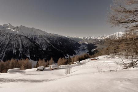 Brown Leaf Trees Near Mountain Cover by Snow at Daytime