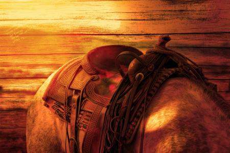 Brown Leather Horse Saddle