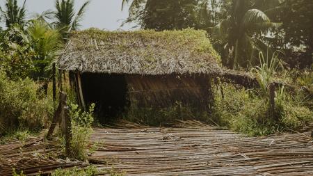 Brown Nipa Hut Photo