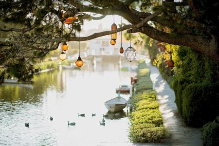 Brown Pendant Lamp Hanging on Tree Near River