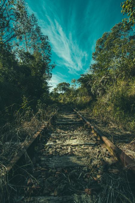 Brown Rail Way Near Green Trees Under Cloudy Blue Sky at Daytime