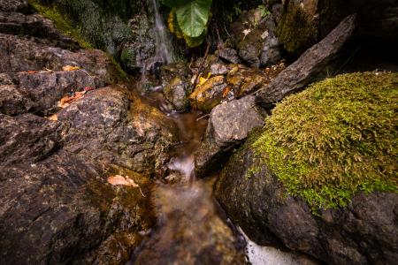 Brown Stone With Green Grass