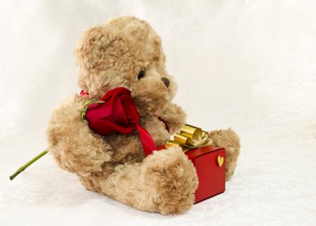 Brown teddy bear with a rose and a gift