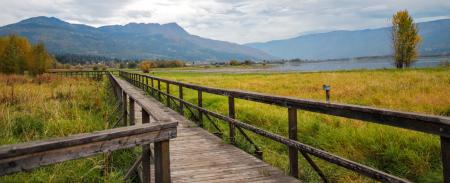 Brown Wooden Bridge Beside Green Grass Field