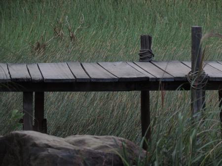 Brown Wooden Dock Near Green Grass Field