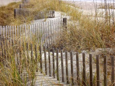 Brown Wooden Fence