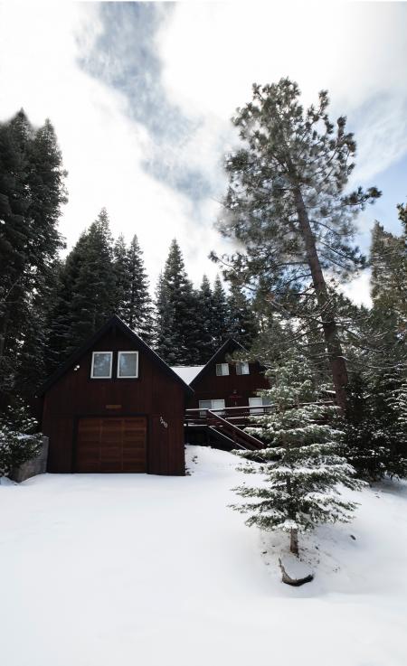 Brown Wooden House Beside Green Leaf Trees