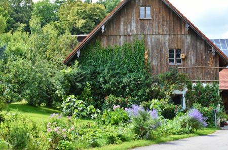 Brown Wooden House Beside Green Trees during Daytime