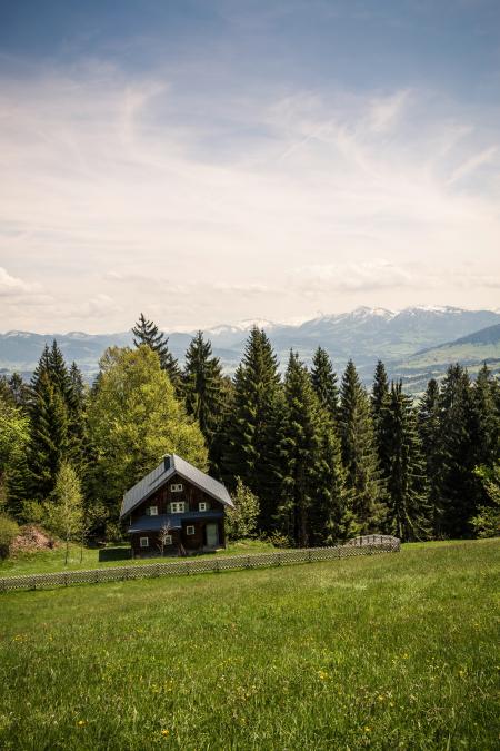 Brown Wooden House Neat Trees on Mountain Under Grey Clouds during Daytime