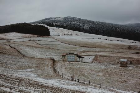 Brown Wooden House Surrounded With Brown Field Near Mountain Under Gray Sky at Daytime