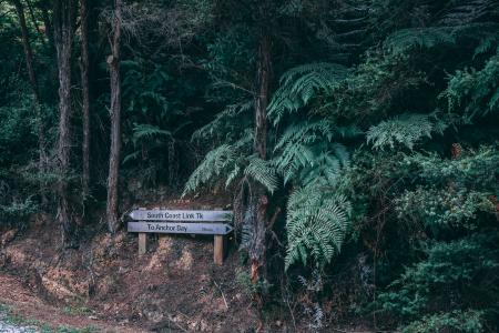 Brown Wooden Signage Near Trees at Daytime