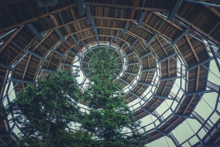 Brown Wooden Spiral Dome Building With Green Tree