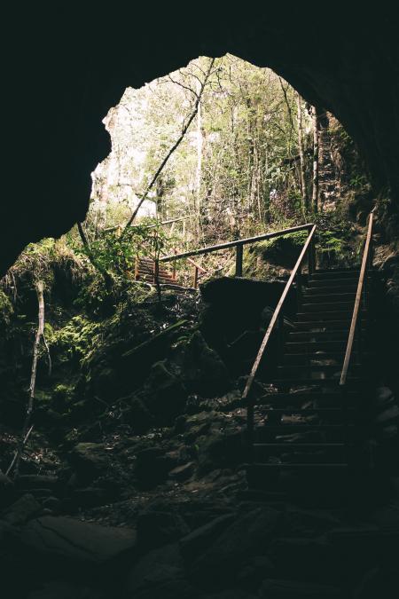 Brown Wooden Stairs