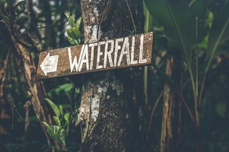 Brown Wooden Waterfall Direction Sign Placed on Brown Tree Bark