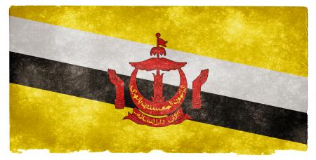 Brunei Grunge Flag