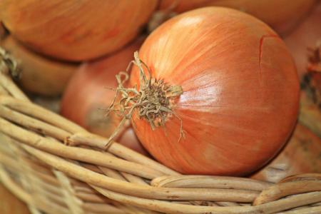 Bucket of Onions