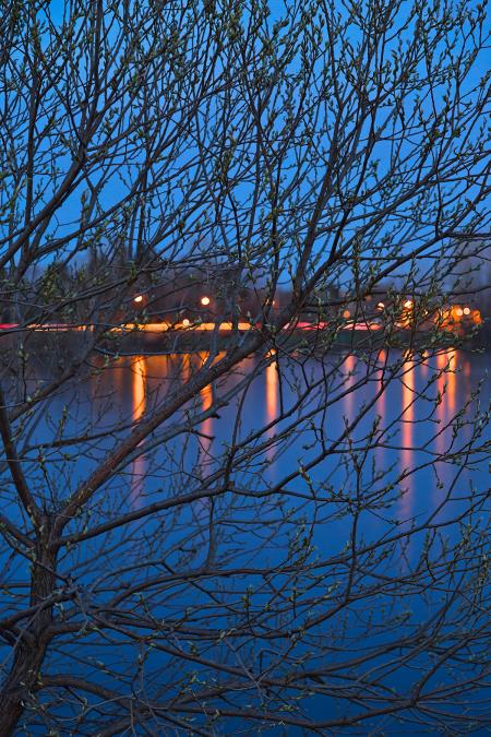 Budding Twilight Spring - HDR