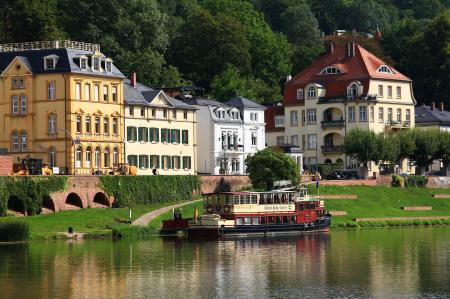 Buildings in a City