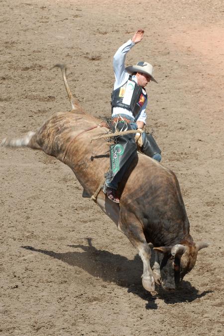 Riding a Bull