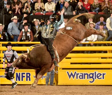 Bull Riding