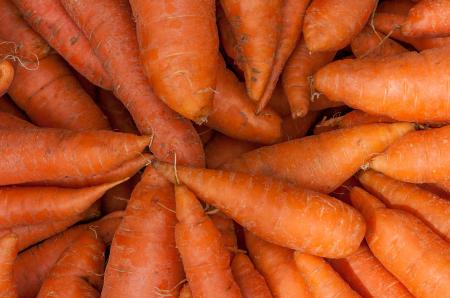 Bunch of Carrots