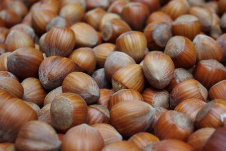 Bunch of Hazelnuts