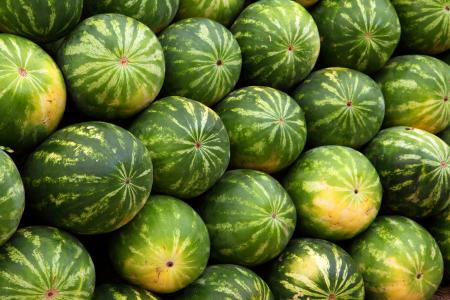 Bunch of Watermelons