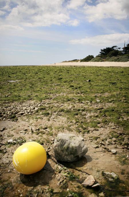 Buoy on beach