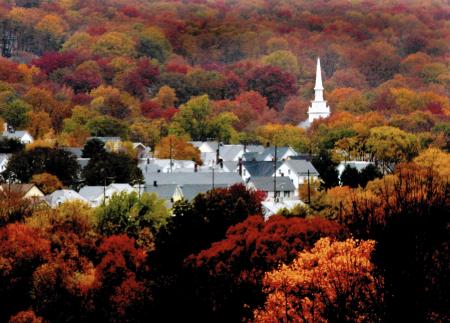 Fall Foliage