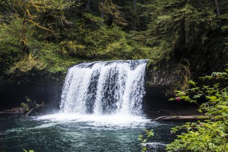 Butte Creek Falls, Oregon