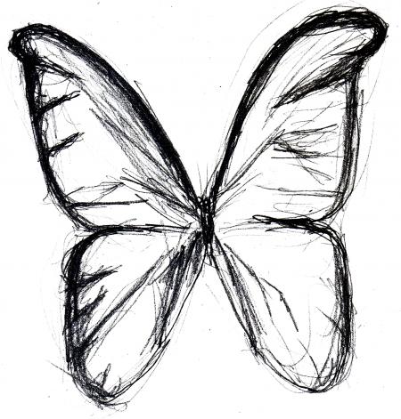 Butterfly Sketch