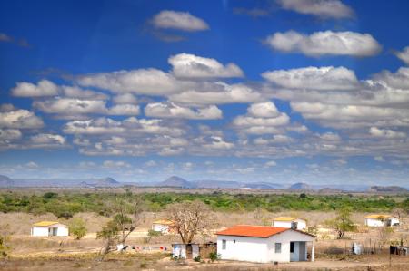 Caatinga