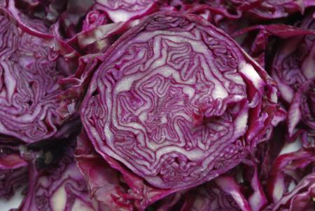 Cabbage