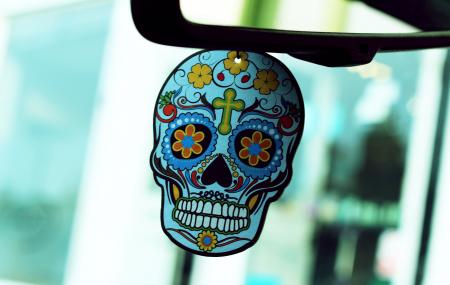 Calavera Decor