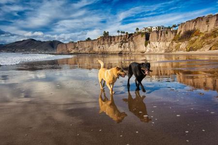 California Beach